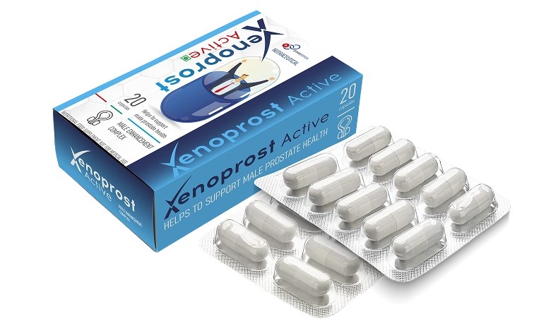 xenoprostactivein.in